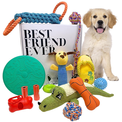 Pavon79 Chew Toys for Dogs, Cute Set of Dog Toys with Ropes, Plush and Chew Toys. Squeaky Dog Toys for Teething and a lot of Fun for Your Dogs. Interactive Dog Toys.