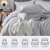 CozyLux Queen Size Comforter Set - 3 Pieces Grey Soft Luxury Cationic Dyeing Bedding Comforter for All Season, Gray Breathable Lightweight Fluffy Bed Set with 1 Comforter and 2 Pillow Shams
