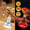 REPTI ZOO 2 Pack 100W Reptile Heat Lamp Bulbs,Upgraded Reptile Day and Night Basking Spot Bulb Combo Amphibian Infrared Heat Lamp Bulb/UVA Basking Spot Daylight Heating Light Bulb