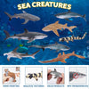 Toymany 8PCS Shark Toys Figurines, Realistic Sea Creatures Shark Toy for Kids 3-5 6-12, Ocean Sea Animal for Boy Girl Baby Shark Cake Topper Educational Figures (5 * 3IN)
