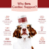Fera Pets Cardiac Support Supplement for Dogs and Cats, Improves Blood Flow, Energy - with Taurine, CoQ10, Organic Hawthorn Berry, Supports Cardiovascular Heart Health - 120 Capsules