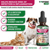 Cat & Dog Natural UTI Medicine & Urinary Tract Infection Treatment with Cranberry - Kidney + Bladder Support Supplement - Best Prevention for Urine Incontinence & Bladder Stones - Pet Renal Health