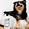 Pet-Pourri Pet Odor Air + Fabric Odor Eliminator Spray, Pawsitively Fresh, 16 Fl Oz