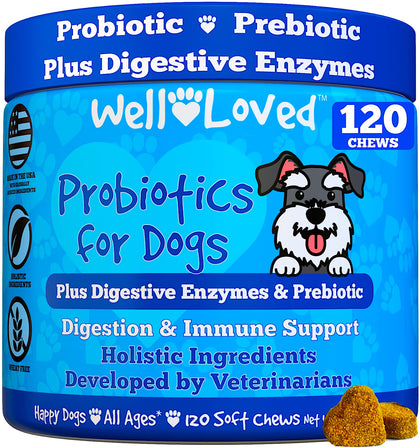 Well Loved Probiotics for Dogs, Dog Probiotics and Digestive Enzymes, Made in USA, Vet Developed, Dog Probiotic Chews with Prebiotics, Diarrhea Treatment, for Itchy Skin, Gut Health & Gas Relief