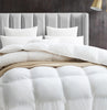 Maple&Stone Feather Down Comforter Queen Size All Season White Down Duvet Insert Ultra Soft 100% Cotton Cover Fluffy Queen Comforter 90 x 90 Inches