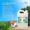 Verdana Coconut MCT Oil - Fractionated Coconut Oil - 1 Gallon - 100% Genuine - No Palm Kernel Used - Kosher Food Grade - Non GMO - Vegan - for Keto, Paleo, Sports Nutrition, Aromatherapy, Massage