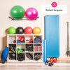 Exercise Ball Holder | Organize Your Space | Wall Mounted Ball Rack | Yoga Ball Holder | Exercise Ball Wall Mount | Fitness Ball Rack | Therapy & Stability Ball Rack | For Gyms, Studios, Home Gyms
