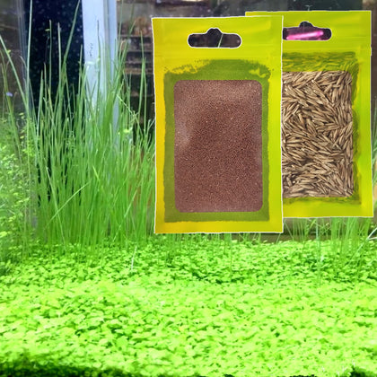 Live Aquarium Plant See ds Combo,Fresh Water Grass Plants Mini Leaf & Longhair Grass Small Pearl for Fish Tank Terrarium Aquatic Dwarf Carpet Decor Decoration (1M1L)
