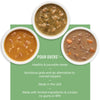 The Honest Kitchen Pumpkin POUR OVERS Wet Toppers for Dogs (Pack of 12), 5.5 oz - Chicken Stew