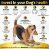 Soft Chews Dog Vitamins & Supplements - Dog Multivitamin - Hemp Oil Glucosamine Chondroitin Hip and Joint Support Health, Skin & Coat, Digestion & Immune Booster, Heart, Probiotics
