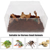 winemana Reptile Terrarium, Tarantula Enclosure, 16
