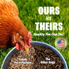 Eaton Pet & Pasture, USA Premium Dried Black Soldier Fly Larvae 1 LB, High Calcium Treat for Chickens, Ducks, Wild Birds