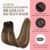 GOO GOO Clip-in Hair Extensions for Women, Soft & Natural, Handmade Real Human Hair Extensions, Chocolate Brown to Caramel Blonde, Long, Straight #(4/27)/4, 7pcs 120g 16 inches