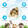 DAMPET Small Animals Play Balls, Chew Grass Balls & Rolling Chew Toys for Bunny, Improve Pets Dental Health for Rabbit, Chinchilla, Guinea Pigs, Hamsters, Gerbils, Rats, Mice ?9 Pieces?
