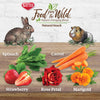 Kaytee Food from The Wild Natural Snack for Pet Rabbits, Guinea Pigs And Other Small Animals, 1 Ounce