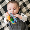 Baby Einstein Teether-pillar Rattle and Chill Teething Toy, Ages 3 months +