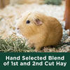 Kaytee Timothy Hay Plus Carrots for Pet Guinea Pigs, Rabbits & Other Small Animals, 24 oz
