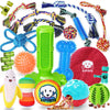 KIPRITII Dog Chew Toys for Puppy - 23 Pack Puppies Teething Chew Toys for Boredom, Pet Dog Toothbrush Chew Toys with Rope Toys, Treat Balls and Dog Squeaky Toy for Puppy and Small Dogs