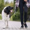 SVD.PET Dog Poop Bag Dispenser, Retractable Waste Bag Dispenser, Lightweight Poop Bag Holder, Stretchy Strap Fits Any Dog Leash, Dog Walking Accessory (Black)