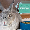 Oxbow Essentials Adult Rabbit Food - All Natural Adult Rabbit Pellets - Veterinarian Recommended- No Artificial Ingredients- All Natural Vitamins & Minerals- Made in the USA- 5 lb.