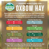 Oxbow Animal Health Orchard Grass Hay - All Natural Grass Hay for Chinchillas, Rabbits, Guinea Pigs, Hamsters, Gerbils & Other Small Pets - Grown in the USA- Fiber Rich- 40 oz.