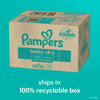 Pampers Baby Dry Diapers - Size 1, 252 Count, Absorbent Disposable Diapers
