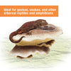 Zilla Vertical Décor Mushroom Feeding Ledge One Size,Brown 9.5 IN