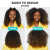 Carol's Daughter Born To Repair Reviving Hair Oil for Dry Damaged Hair & All Curl Types, Made with Shea Butter, 4.2 Fl Oz