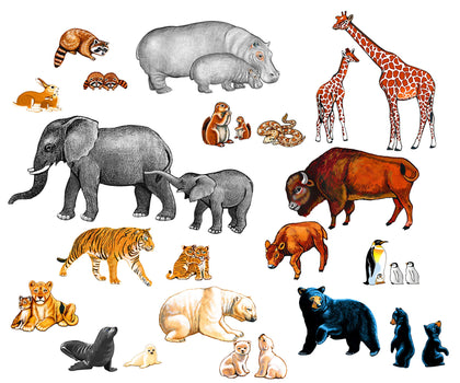 Little Folk Visuals Wild Animals Felt Learning Toy Set, Precut Felt Board Figures for Kids and Toddlers, 22 Piece Set, Features 14 Animal Mothers and Matching Offspring