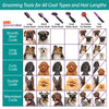 Hartz Groomer's Best Deshedding Slicker Dog Brush, Black/Violet, Dogs
