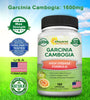 aSquared Nutrition Garcinia Cambogia 1600mg-180 Capsules-Natural Pure Extract Pills for Brain Health- Standardized Ultra HCA & Garcinia Cambogia Supplement Alternative to Gummies, Drops, Tea & Powder