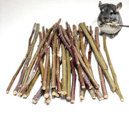 ECOVENIK Apple Sticks 50 Gram Rabbit & Hamster Chew Toys - 100% Natural & Organic Chinchilla Food, Treats for Guinea Pig, Squirrels, Parrots & Other Small Animals (Made in Ukraine)