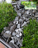 Natural Slate Stone - 1/4 to 1/2 inch Slate Gravel for Aquascaping Aquariums, Miniature or Fairy Garden, Aquarium, Model Railroad & Wargaming (1)